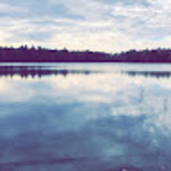 Meet your Posher, Alexi - Picture 1 of 1